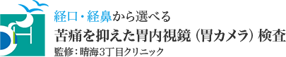 経口・経鼻から選べる苦痛を抑えた胃内視鏡（胃カメラ）検査