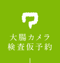 大腸カメラ事前診察予約