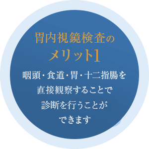 咽頭・食道・胃・十二指腸を直接観察することで正確な診断を行うことができます